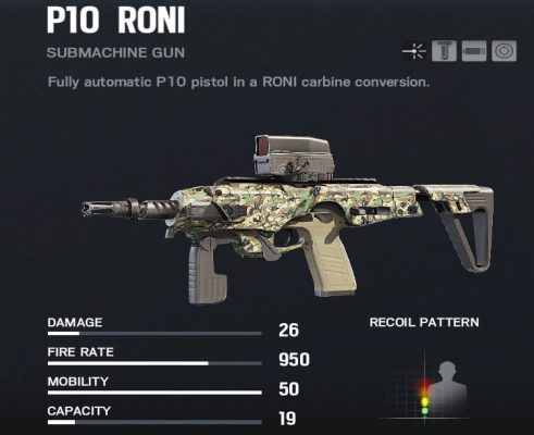 P10Roni_compressed