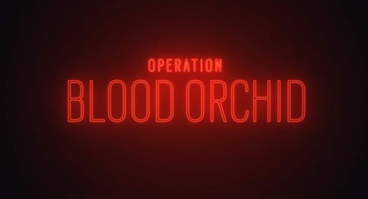 bloodorchid_compressed