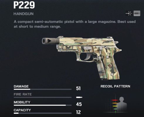 p229_compressed