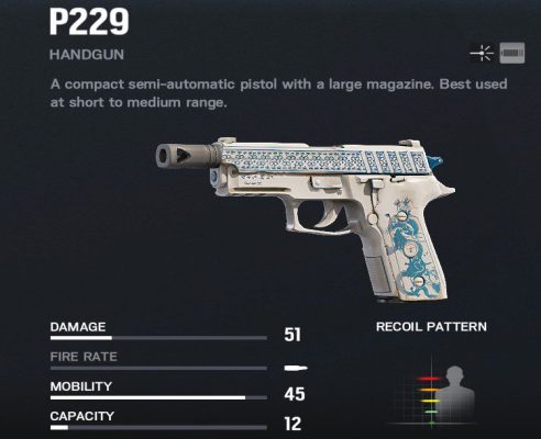 p229_compressed